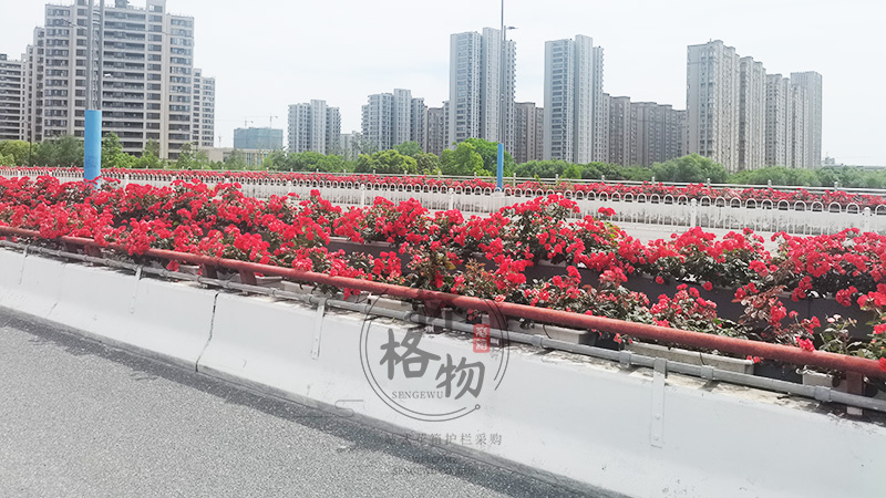 南陽城市橋梁綠化懸掛式花盆綠化方案