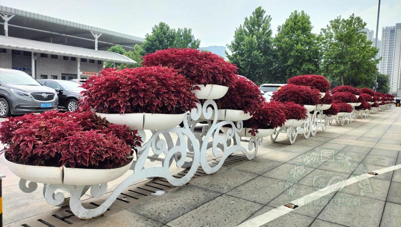 泰安花箱案例：高鐵車站小型立體花架案例