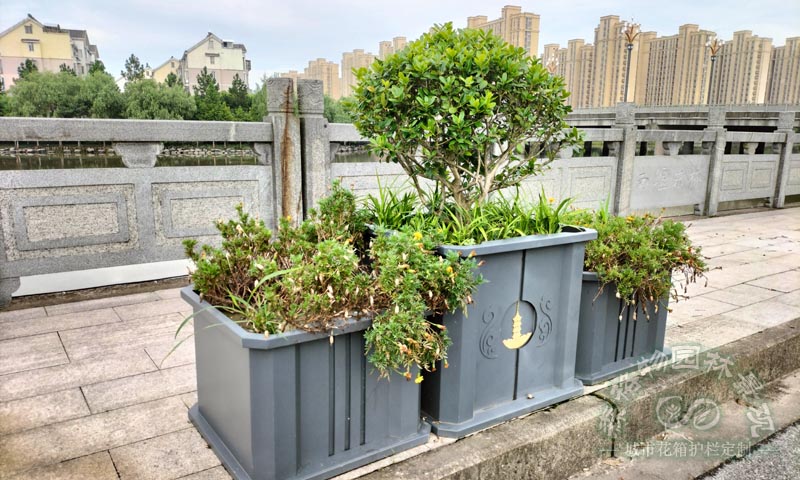 河南花箱案例：不銹鋼樹池樹圍花箱案例