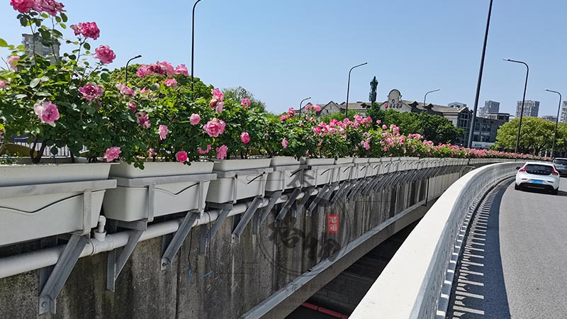 連云港高架橋梁外掛式花箱花盆案例